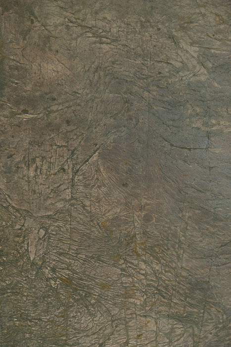 RENTAL ONLY! "World Forest" #0876 XL Hand Painted Muslin Backdrop