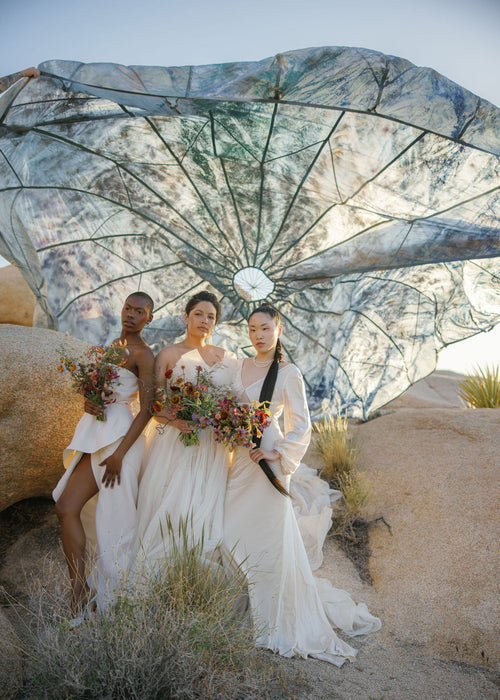 hand painted parachute in joshua tree with bride. Image by Anya Kernes designed by Nicole Chapman Design.