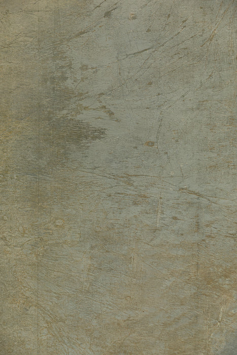RENTAL ONLY! "World Forest" #0876 XL Hand Painted Muslin Backdrop