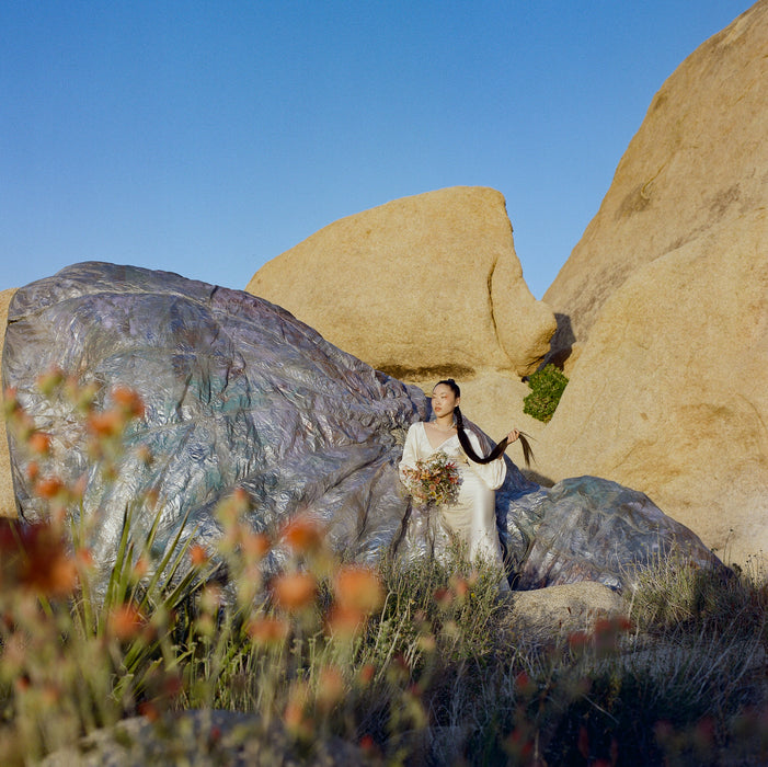 hand painted parachute draped on rock in Joshua Tree
