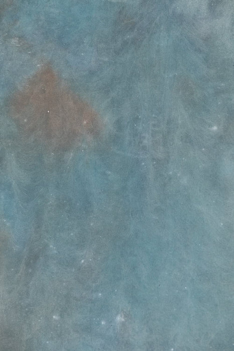 Poseidon // 3'10"x6