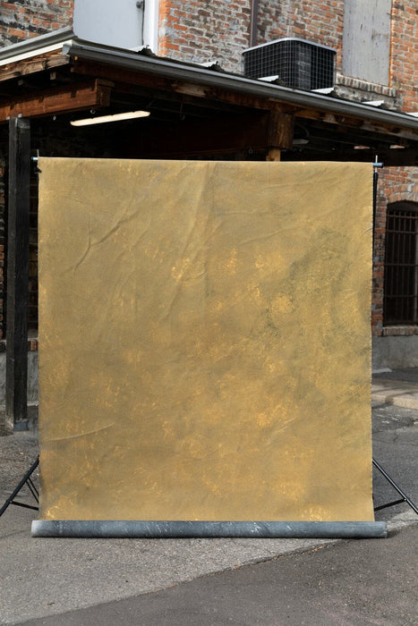 Bold Study #0058 // Large Canvas Backdrop