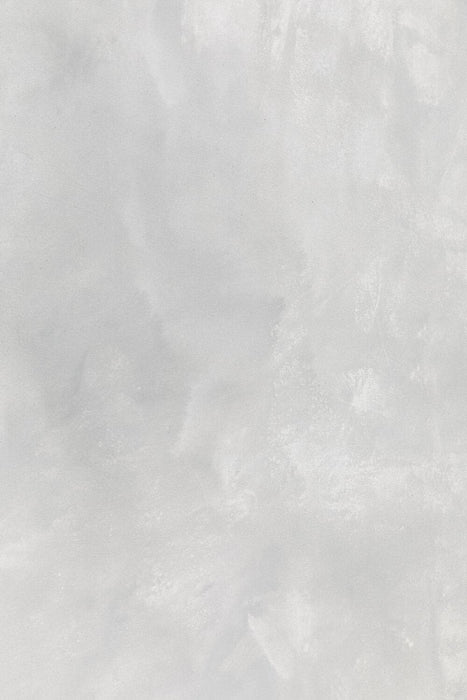 Winter Skies #0047 // Large Canvas Backdrop