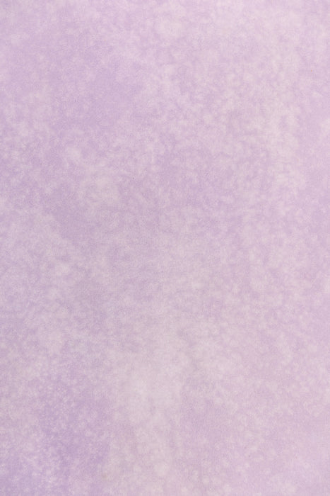 Prince #0194 // Large Hand-Painted Canvas Backdrop.