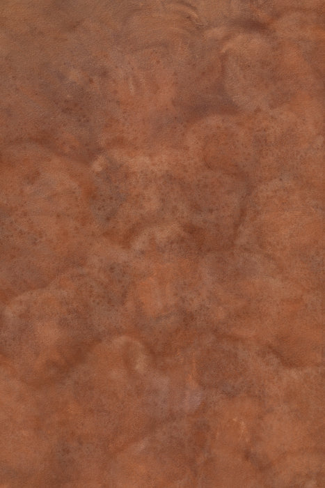 Sun-Dried Tobacco #0223 // Large Hand-Painted Canvas Backdrop.