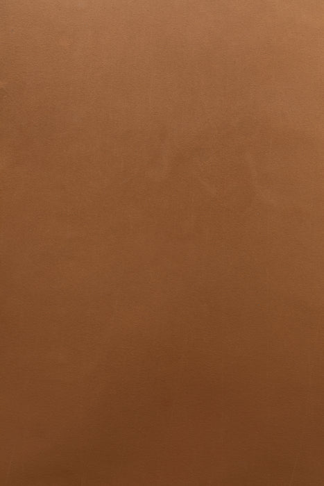 Cappuccino #0237  // XLarge Hand-Painted Canvas Backdrop
