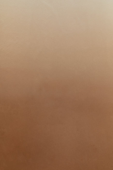 Cappuccino #0237  // XLarge Hand-Painted Canvas Backdrop