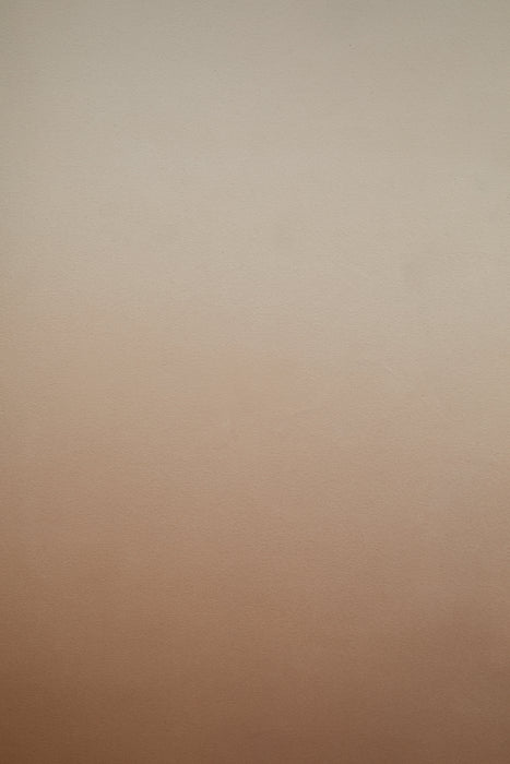Cappuccino #0237  // XLarge Hand-Painted Canvas Backdrop