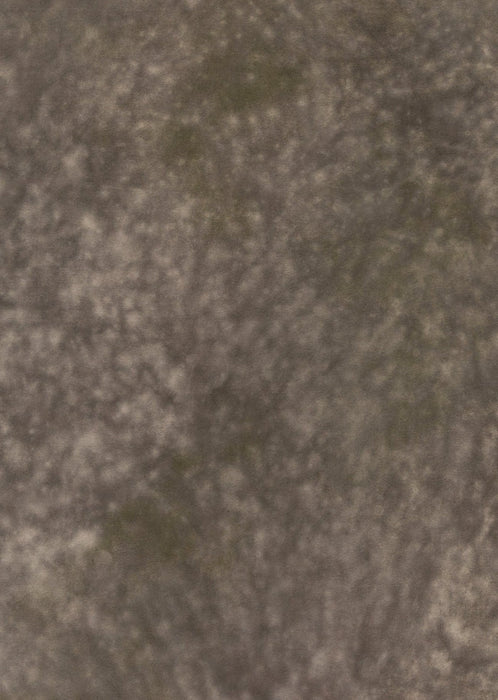 Mycelial #0266 // Large+ Hand-Painted Canvas Backdrop.