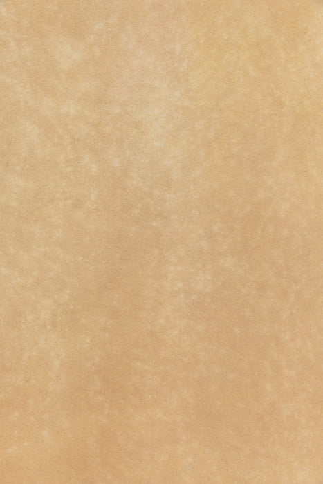 Prarie #0242 // Large+ Hand-Painted Canvas Backdrop.