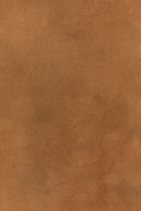 Escalante #0264-Sandstone Study // Large+ Hand-Painted Canvas Backdrop.
