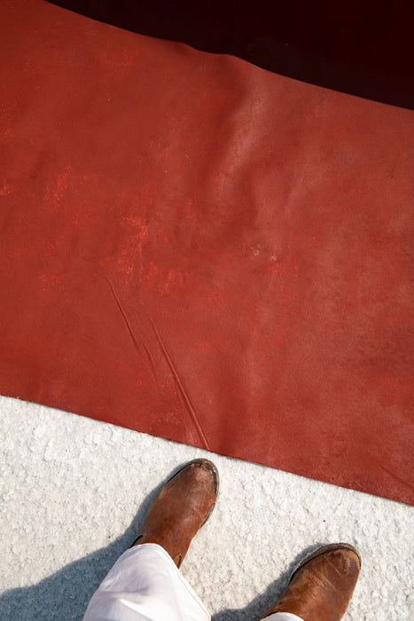 High Gloss Suede #0259// Large+ Hand-Painted Canvas Backdrop.