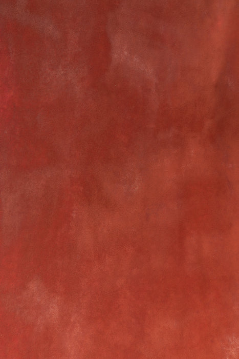 Autumn Hide #0258 // Large+ Hand-Painted Canvas Backdrop.