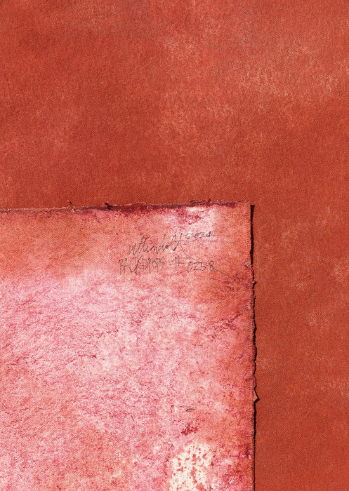 Autumn Hide #0258 // Large+ Hand-Painted Canvas Backdrop.