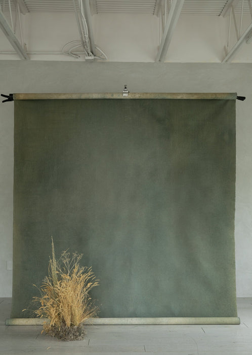 Brushed Eucalyptus #0269 // XLarge Hand-Painted Canvas Backdrop