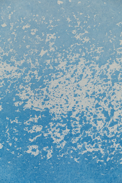 Cannes I #0214 // Small Hand-Painted Canvas Backdrop.