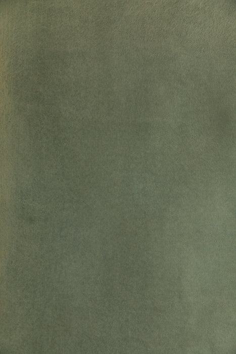 Brushed Eucalyptus #0269 // XLarge Hand-Painted Canvas Backdrop
