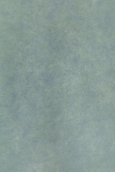 Foothill Sage x Heather Nan #0286// XLarge Hand-Painted Canvas Backdrop.