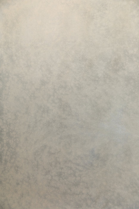 Wheat Stone #0260 // Large+ Hand-Painted Canvas Backdrop.
