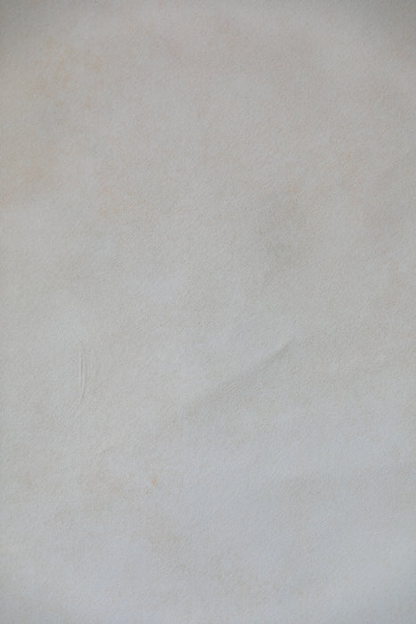 Beach Bleached #0371 // Large+ Hand-Painted Canvas Backdrop.