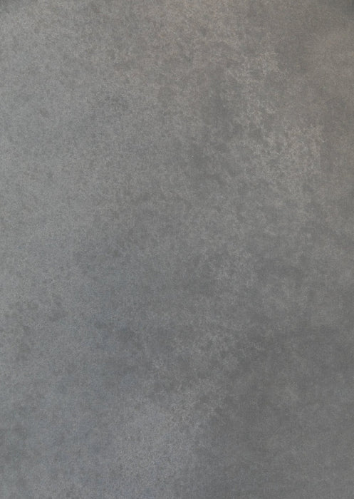 Everyday Gray #0271 XLarge Hand-Painted Canvas Backdrop