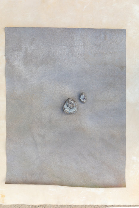 Autumn Soil #0326 // Mini Painting.