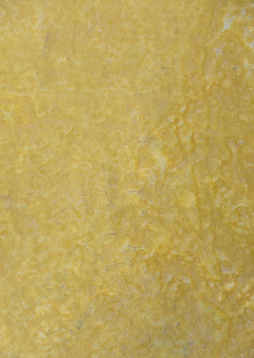 Citron Plasters #0468 // Mini Painting.