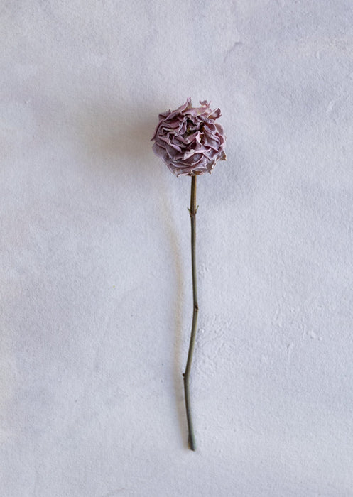 Gray Peri #0190 ii // Mini Painting.
