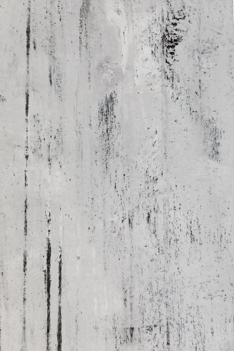 Birches of Tula  #0499 // Hand-Painted Flatlay Surface