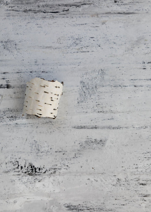 Birches of Tula #0499 // Mini Painting.