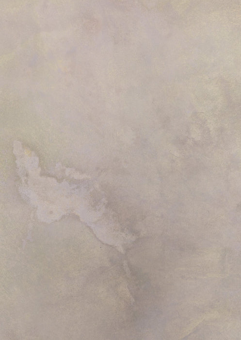 Salted Mauve #0495 Small Hand-Painted Canvas Backdrop