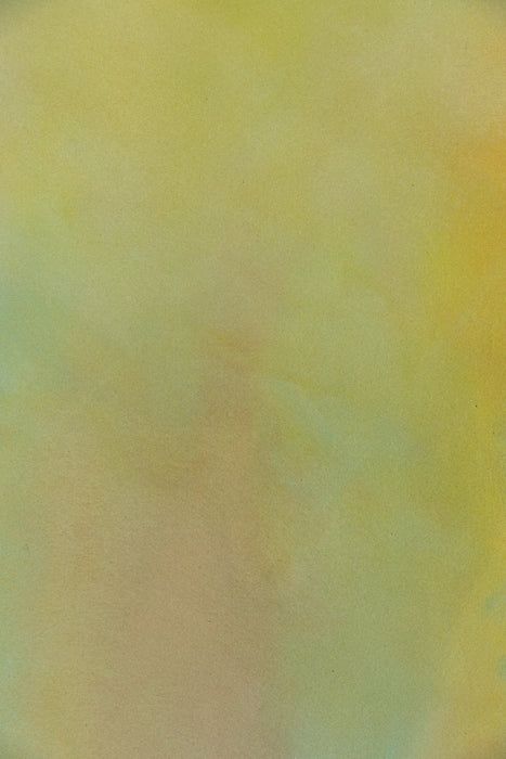 Sunkist #0524 // Medium Hand-Painted Canvas Backdrop Painting.