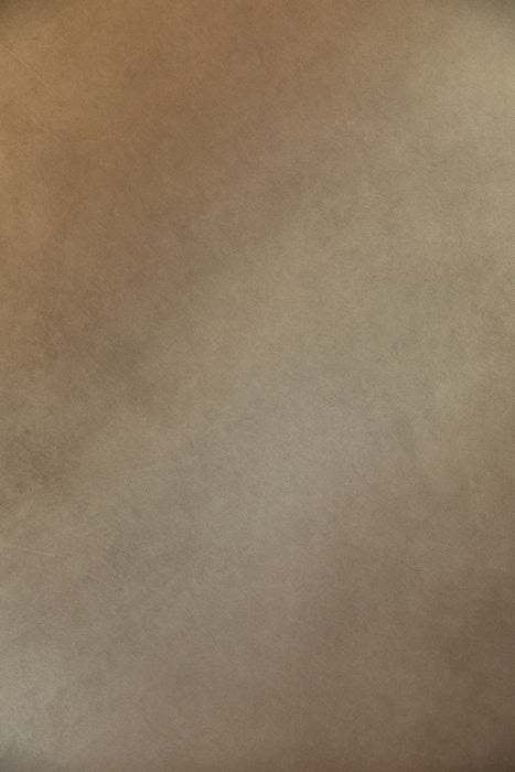 Breve Slant #0527- Sandstone Study // Medium Hand-Painted Canvas Backdrop Painting.