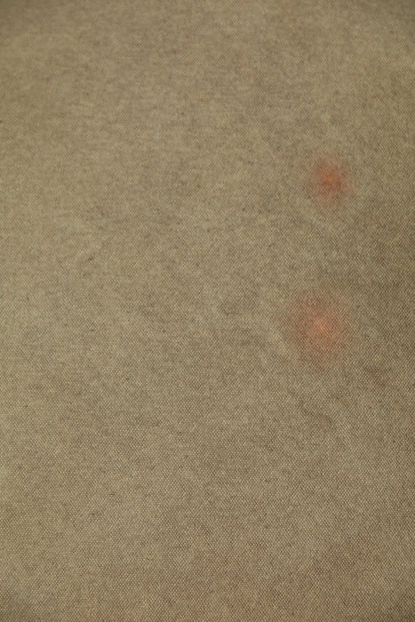 Breve Slant #0527- Sandstone Study // Medium Hand-Painted Canvas Backdrop Painting.