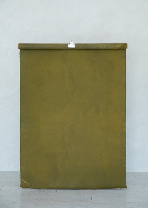 Autumn Moss #0543 Small Hand-Painted Canvas Backdrop