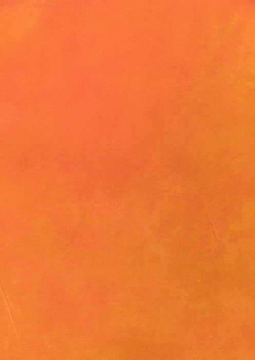 Super Bloom #0546 Double-Sided Medium Hand-Painted Canvas Backdrop