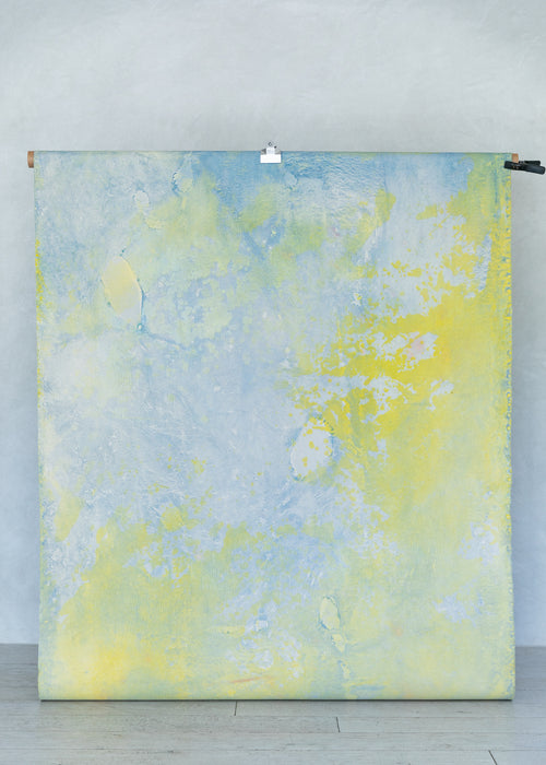 Citron and Peri #0549 // Double Sided Medium Hand-Painted Canvas Backdrop Painting