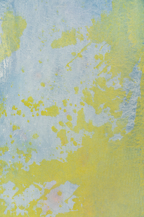 Citron and Peri #0549 // Double Sided Medium Hand-Painted Canvas Backdrop Painting