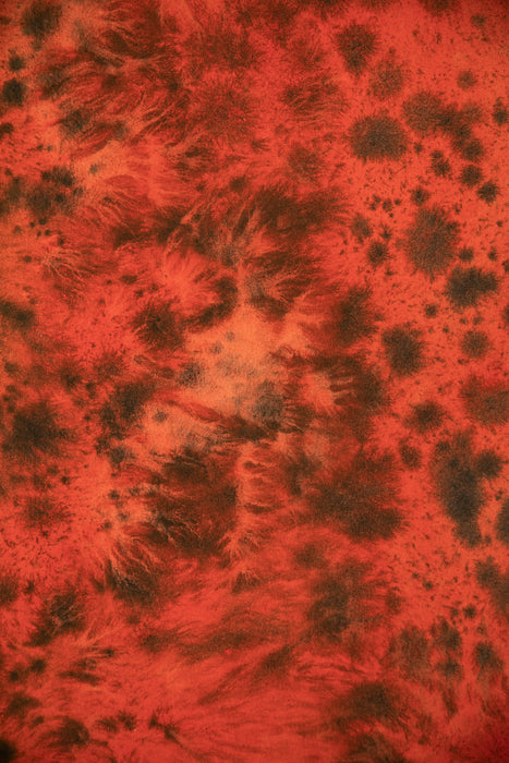 Tyger #0562 // Medium Hand-Painted Canvas Backdrop Painting