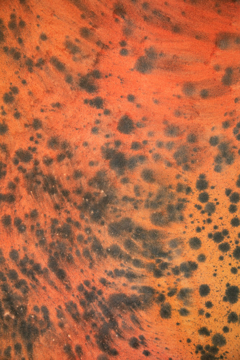 Tyger #0562 // Medium Hand-Painted Canvas Backdrop Painting