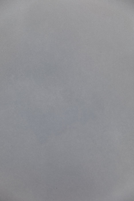 Warm Gray #0579 Large Hand-Painted Canvas Backdrop