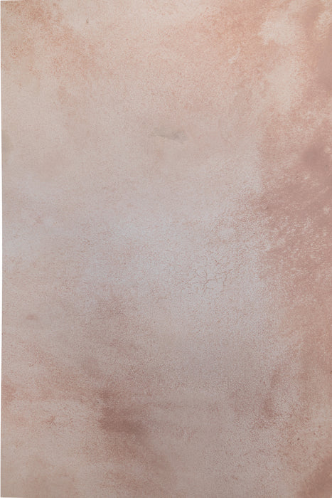 Coral Pink #0577 Sandstone Study Medium Hand-Painted Canvas Backdrop