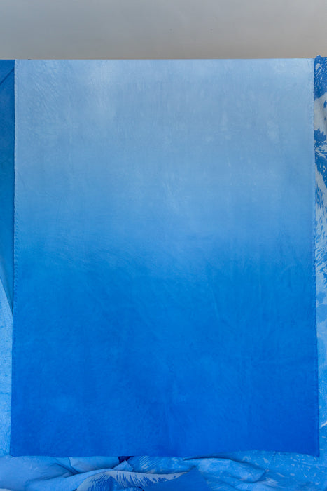 Sky Blue Sky- Backdrop in a Bag