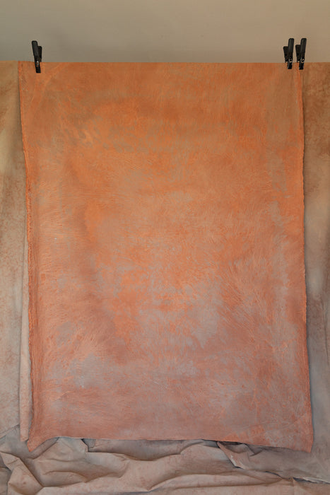 Sandstone & Sage- Backdrop in a Bag