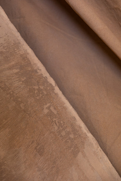 Dune- Backdrop in a Bag
