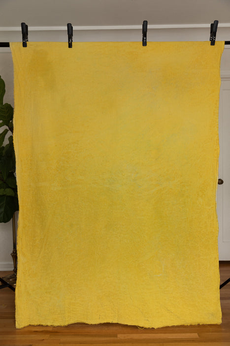 Santa Maria Citron- Backdrop in a Bag (backdrop only)