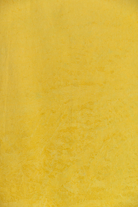 Santa Maria Citron- Backdrop in a Bag (backdrop only)
