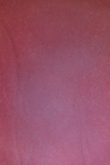 Goa - Backdrop in a Bag