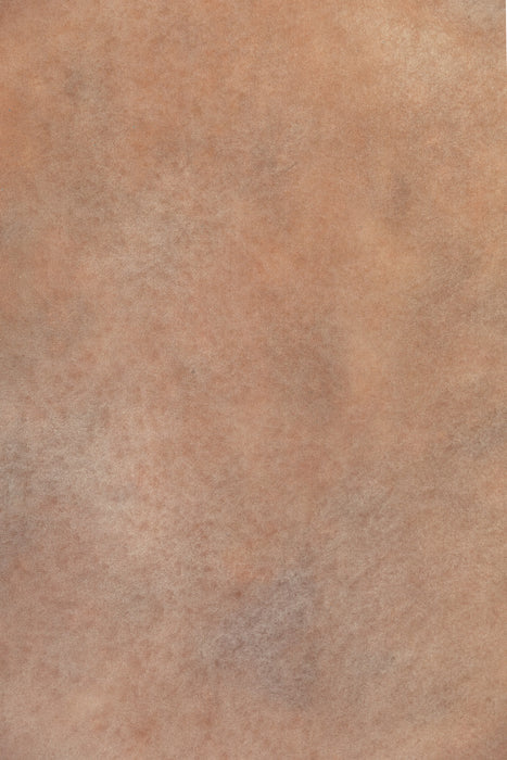 April Fawn #0620 Double-Sided Medium Sandstone Study Hand Painted Canvas Backdrop