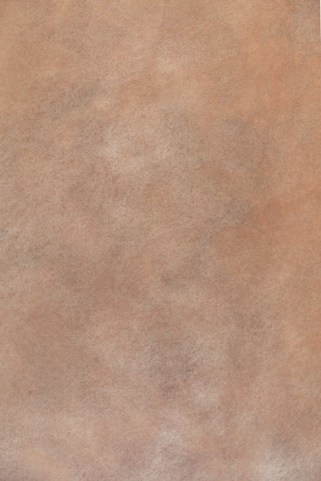 April Fawn #0620 Double-Sided Medium Sandstone Study Hand Painted Canvas Backdrop